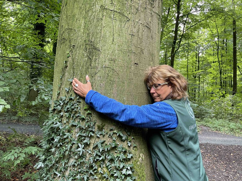 Waldbaden Baum Umarmung Bad Iburg