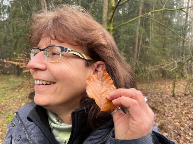 Wahrnehmen beim Waldbaden Hören