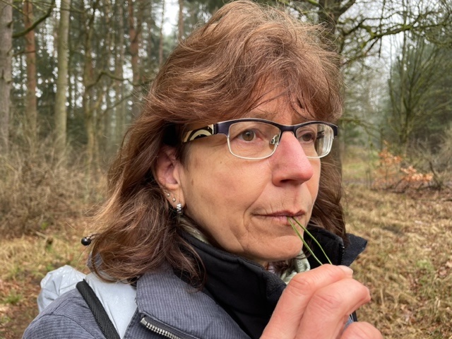 Wahrnehmen beim Waldbaden schmecken